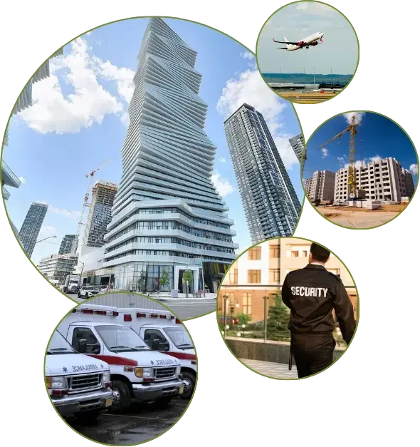 Noki in the beginning - Story